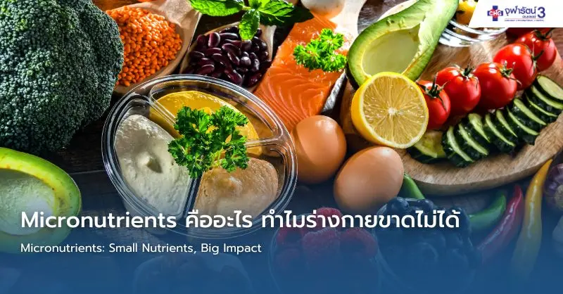 article-Micronutrients คืออะไร ทำไมร่างกายขาดไม่ได้