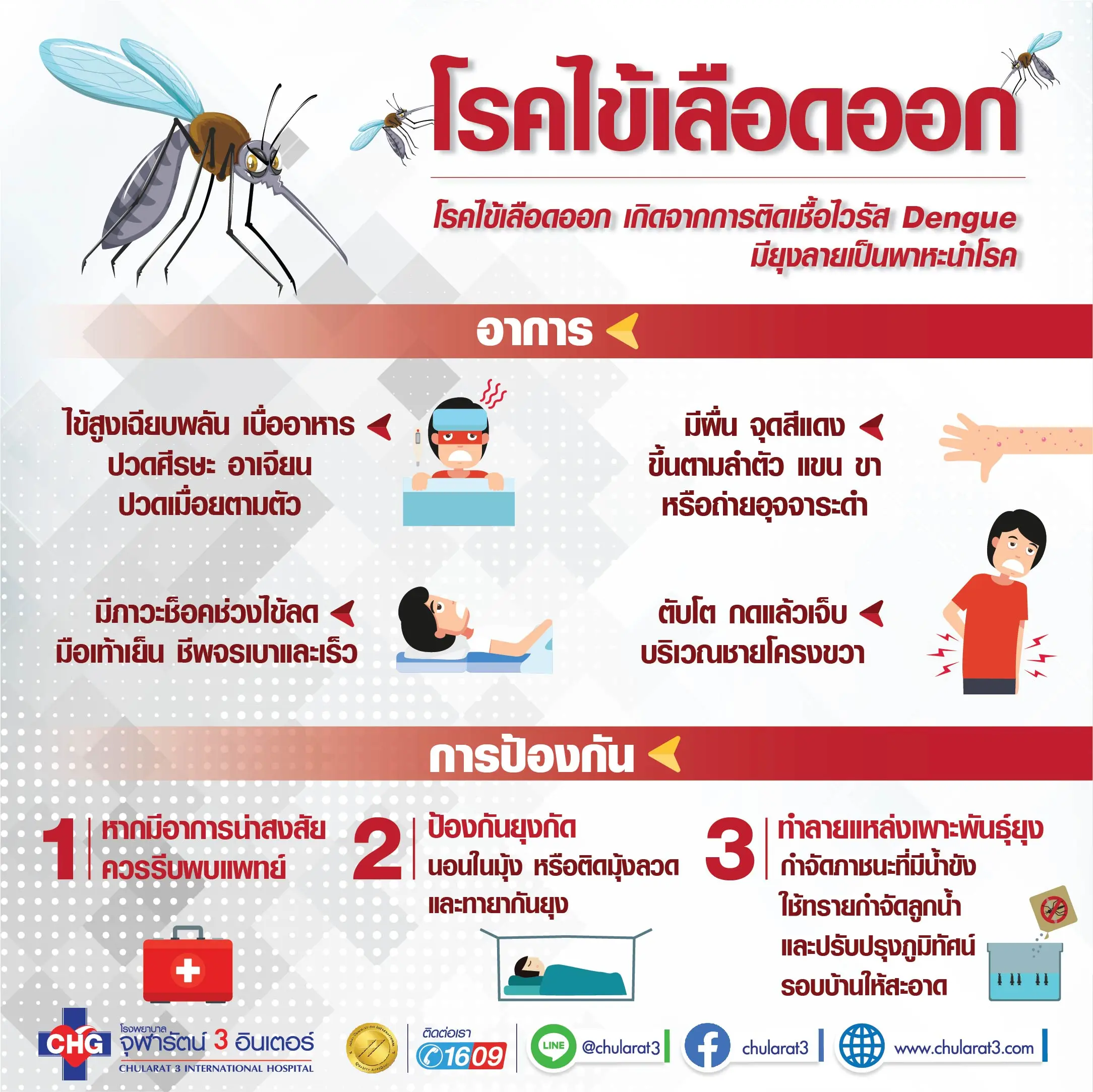 article-ความรู้เกี่ยวกับโรคไข้เลือดออก