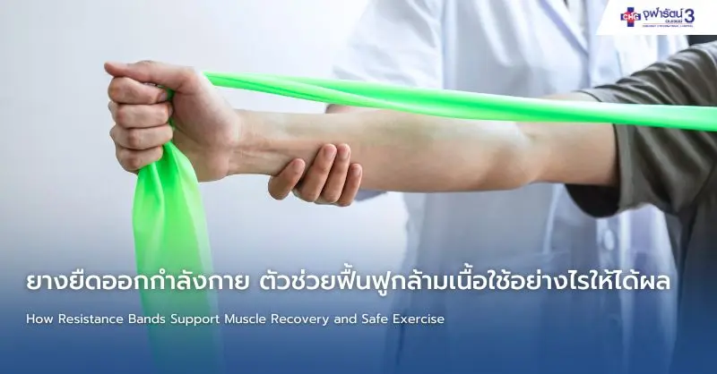 article-ยางยืดออกกำลังกาย ตัวช่วยฟื้นฟูกล้ามเนื้อใช้อย่างไรให้ได้ผล